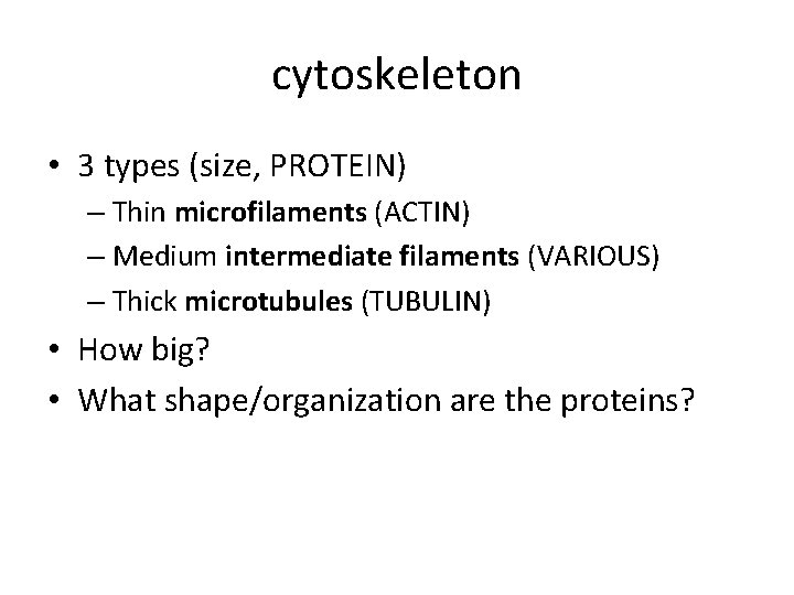 cytoskeleton • 3 types (size, PROTEIN) – Thin microfilaments (ACTIN) – Medium intermediate filaments