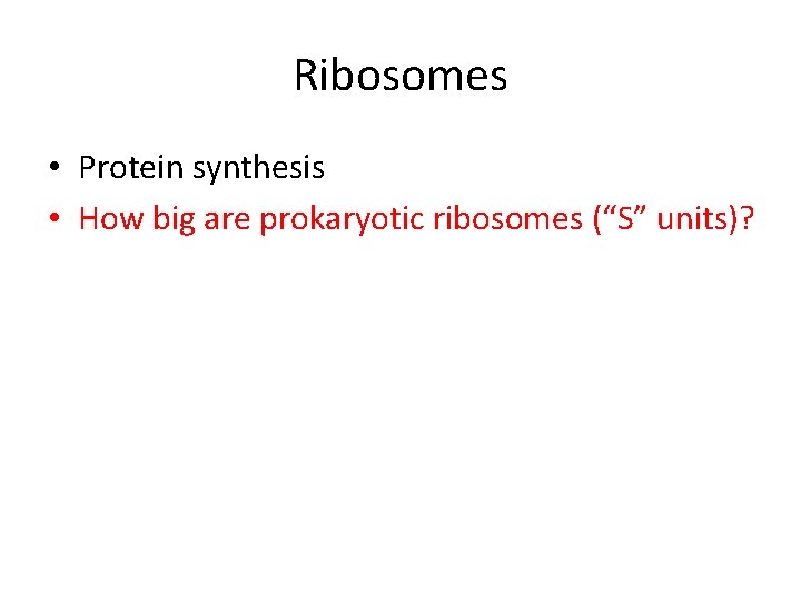 Ribosomes • Protein synthesis • How big are prokaryotic ribosomes (“S” units)? 