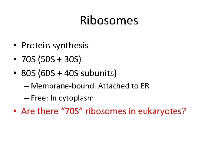 Ribosomes • Protein synthesis • 70 S (50 S + 30 S) • 80