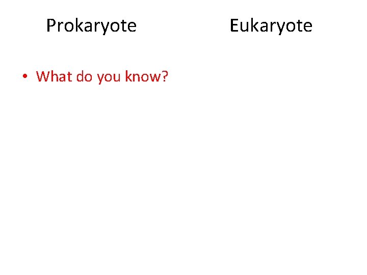 Prokaryote • What do you know? Eukaryote 