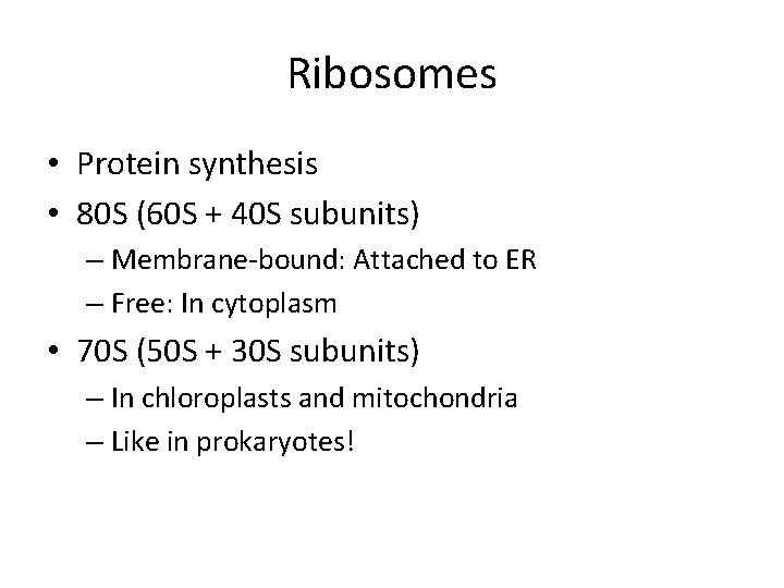 Ribosomes • Protein synthesis • 80 S (60 S + 40 S subunits) –
