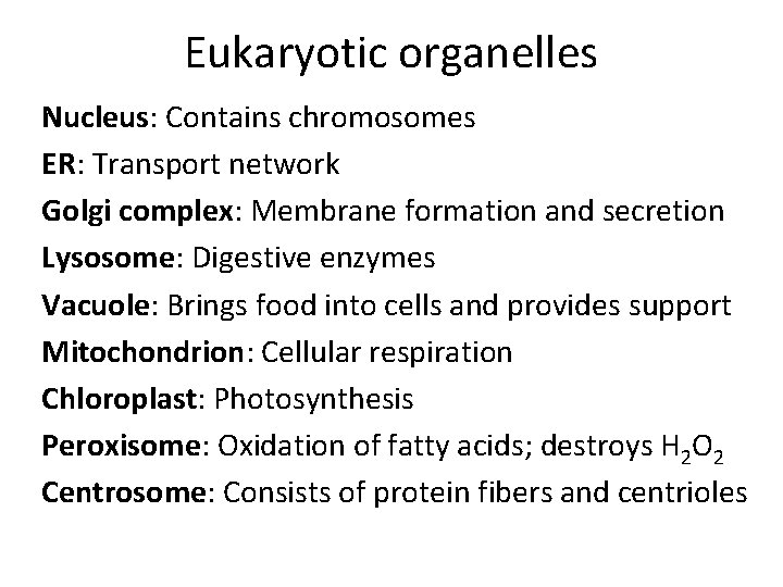 Eukaryotic organelles Nucleus: Contains chromosomes ER: Transport network Golgi complex: Membrane formation and secretion