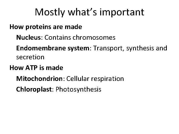Mostly what’s important How proteins are made Nucleus: Contains chromosomes Endomembrane system: Transport, synthesis