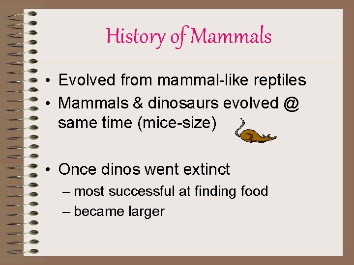 History of Mammals • Evolved from mammal-like reptiles • Mammals & dinosaurs evolved @