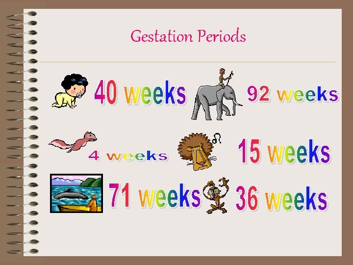 Gestation Periods 