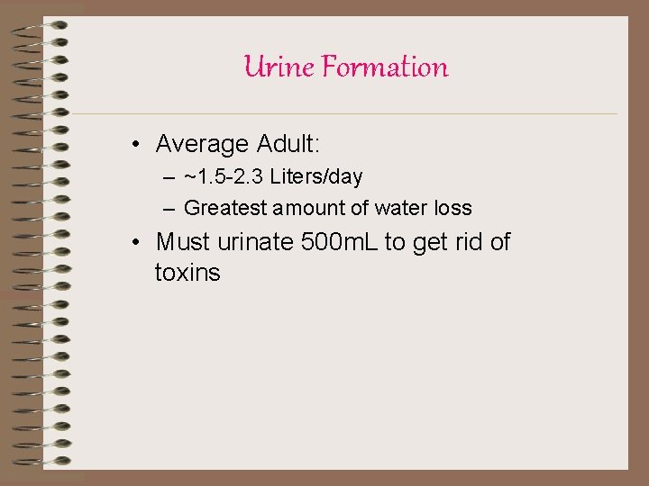 Urine Formation • Average Adult: – ~1. 5 -2. 3 Liters/day – Greatest amount