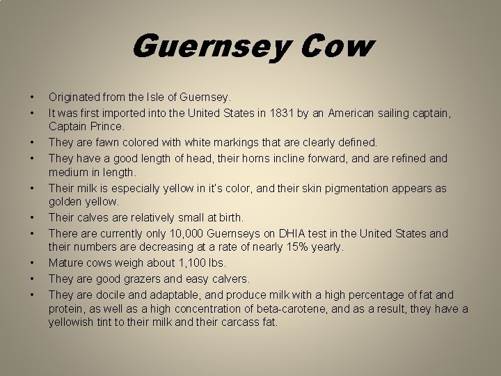 Guernsey Cow • • • Originated from the Isle of Guernsey. It was first