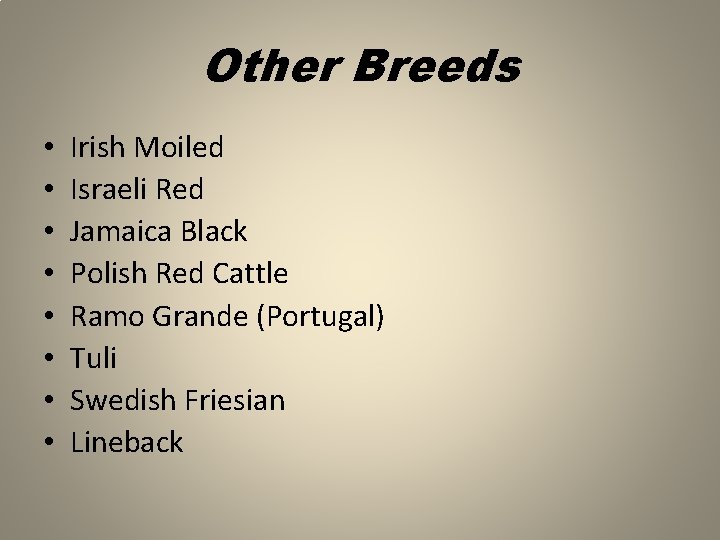 Other Breeds • • Irish Moiled Israeli Red Jamaica Black Polish Red Cattle Ramo