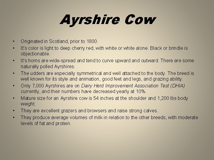 Ayrshire Cow • • Originated in Scotland, prior to 1800. It’s color is light