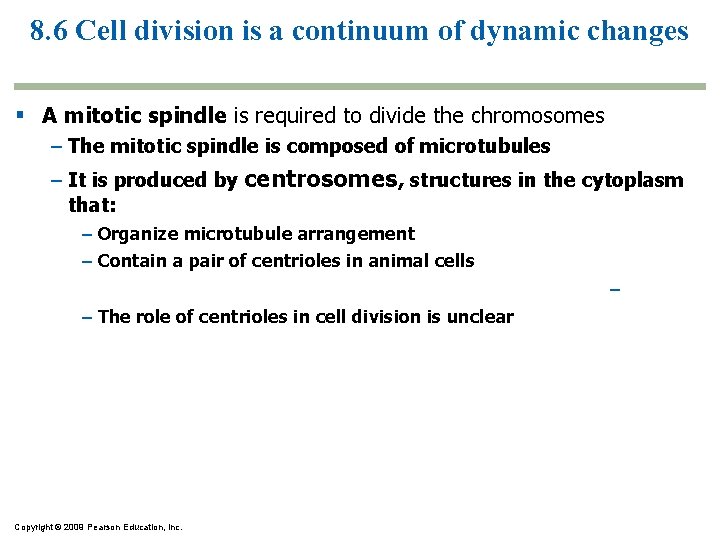 8. 6 Cell division is a continuum of dynamic changes A mitotic spindle is