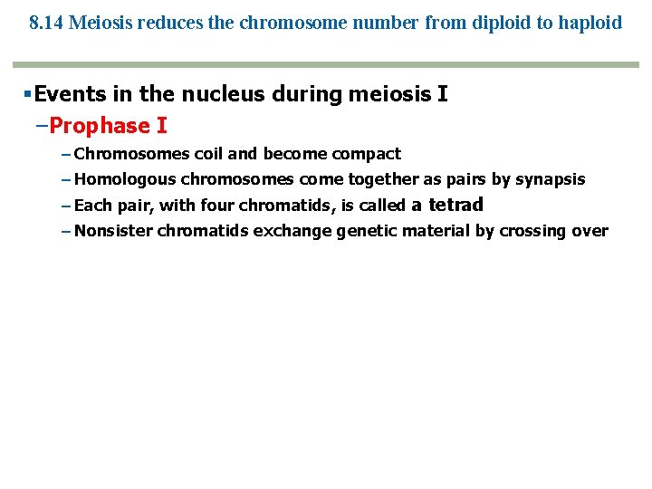 8. 14 Meiosis reduces the chromosome number from diploid to haploid Events in the