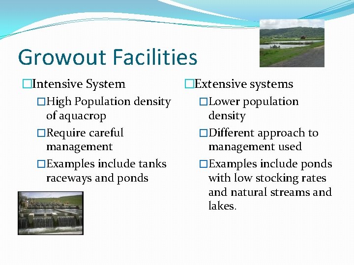 Growout Facilities �Intensive System �High Population density of aquacrop �Require careful management �Examples include