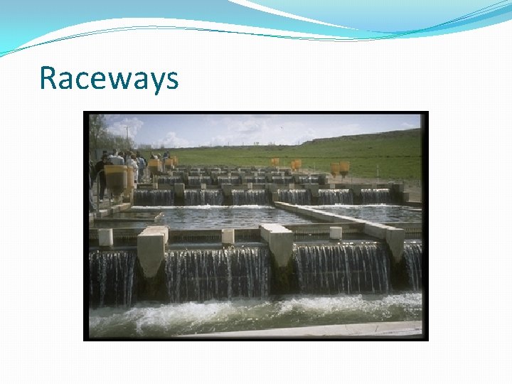 Raceways 