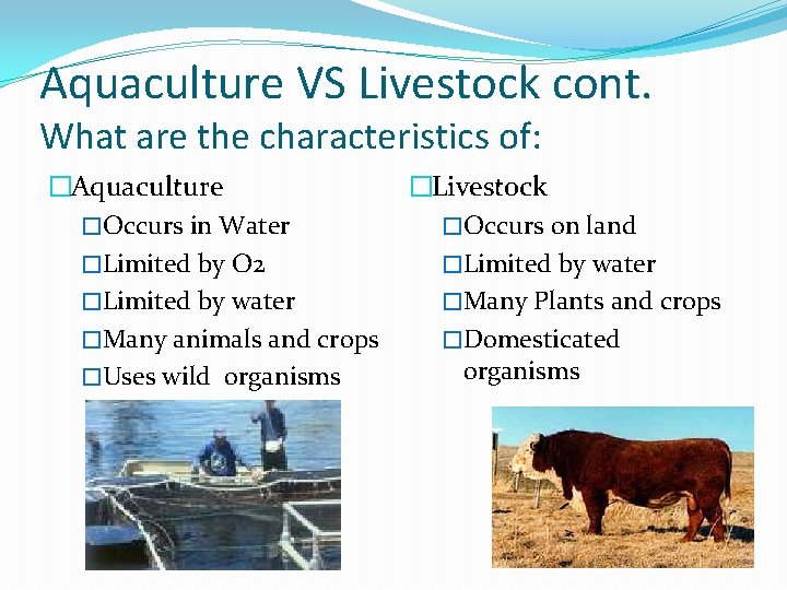 Aquaculture VS Livestock cont. What are the characteristics of: �Aquaculture �Occurs in Water �Limited