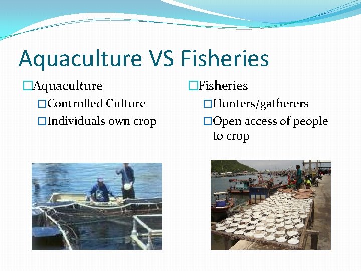 Aquaculture VS Fisheries �Aquaculture �Controlled Culture �Individuals own crop �Fisheries �Hunters/gatherers �Open access of