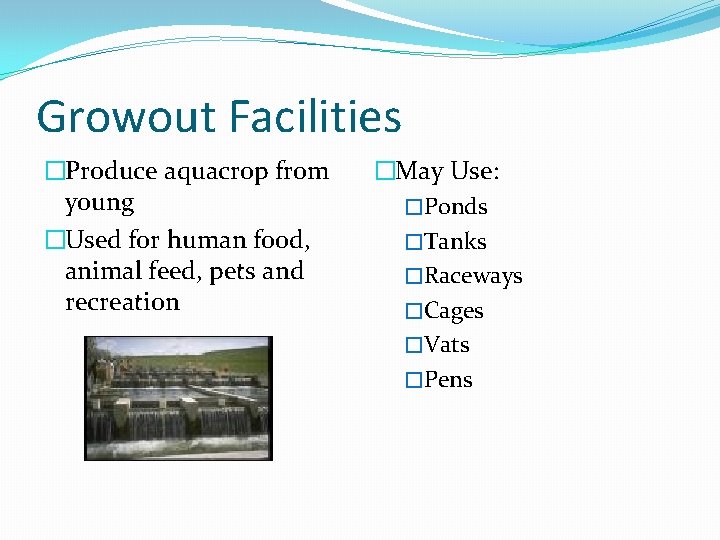 Growout Facilities �Produce aquacrop from young �Used for human food, animal feed, pets and