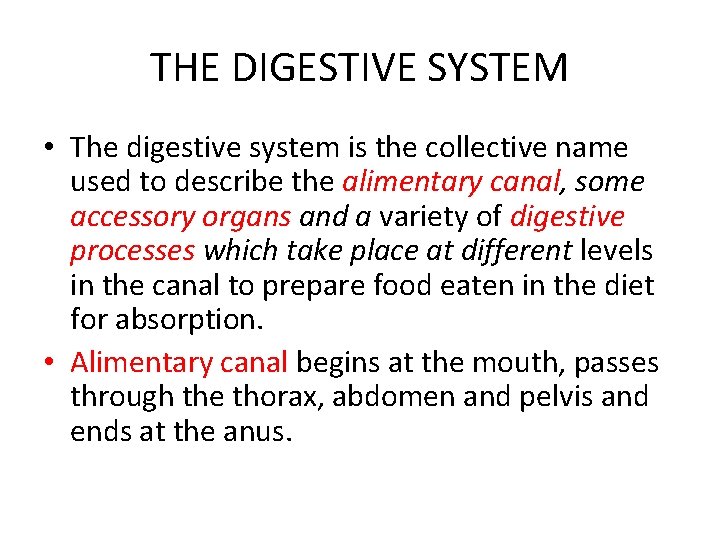 THE DIGESTIVE SYSTEM • The digestive system is the collective name used to describe