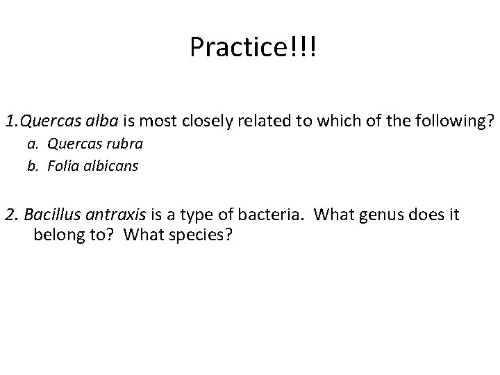 Practice!!! 1. Quercas alba is most closely related to which of the following? a.