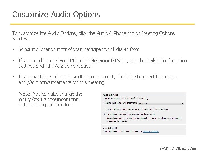 Customize Audio Options To customize the Audio Options, click the Audio & Phone tab