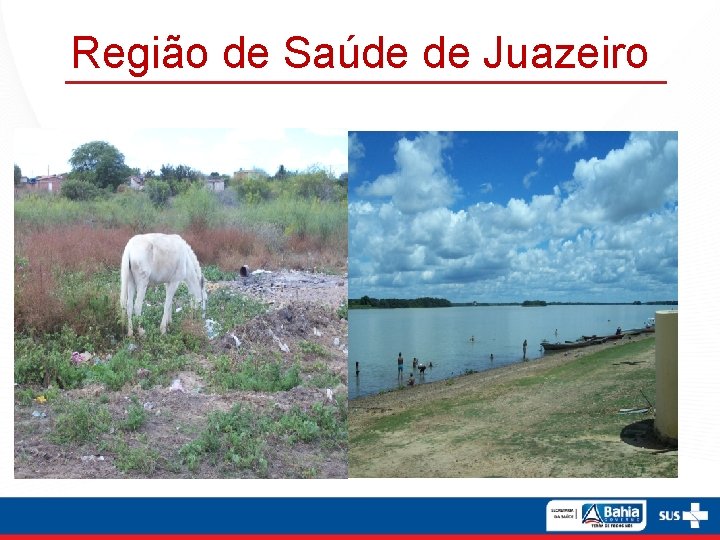 Região de Saúde de Juazeiro 