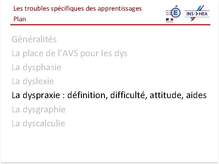 Les troubles spécifiques des apprentissages Plan Généralités La place de l’AVS pour les dys