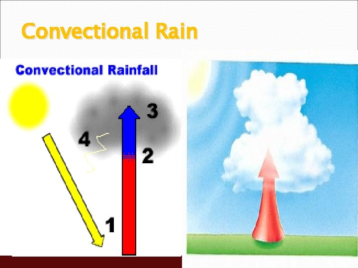 Convectional Rain 