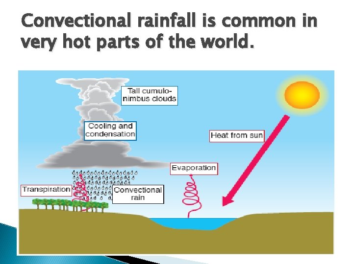 Convectional rainfall is common in very hot parts of the world. 