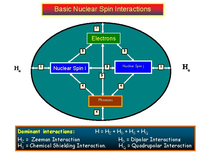 Basic Nuclear Spin Interactions 6 Electrons 3 Ho 1 3 Nuclear Spin j 2