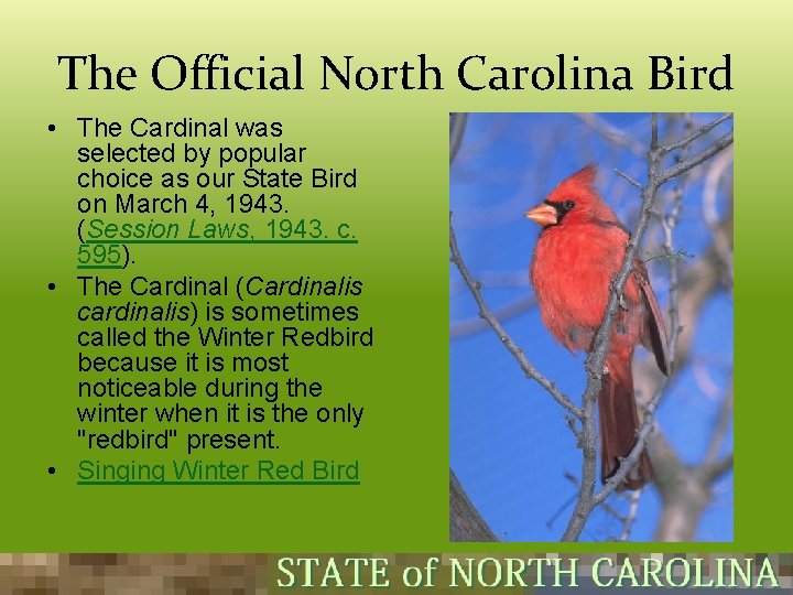 The Official North Carolina Bird • The Cardinal was selected by popular choice as