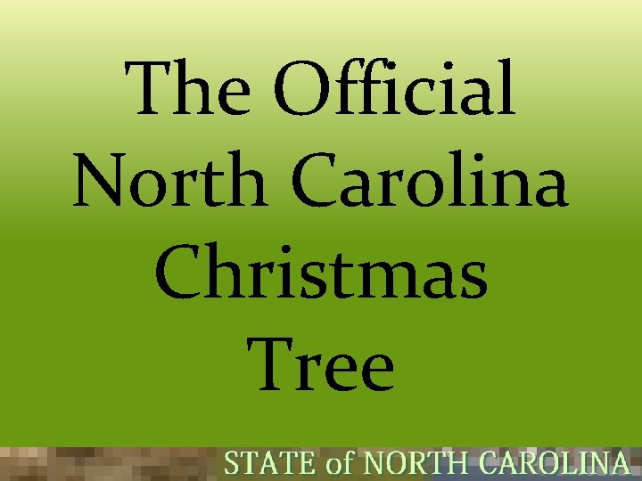 The Official North Carolina Christmas Tree  The Official North Carolina Christmas Tree