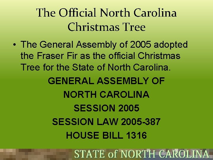 The Official North Carolina Christmas Tree • The General Assembly of 2005 adopted the The Official North Carolina Christmas Tree • The General Assembly of 2005 adopted the