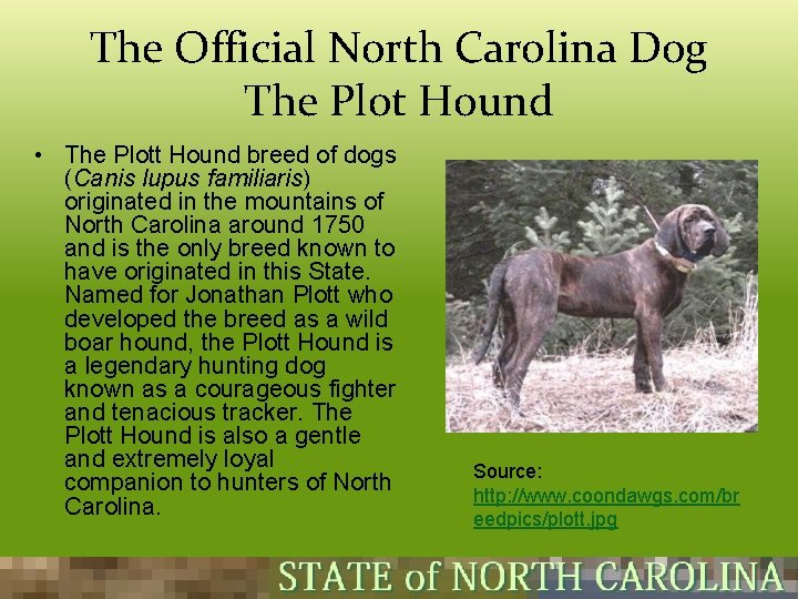 The Official North Carolina Dog The Plot Hound • The Plott Hound breed of