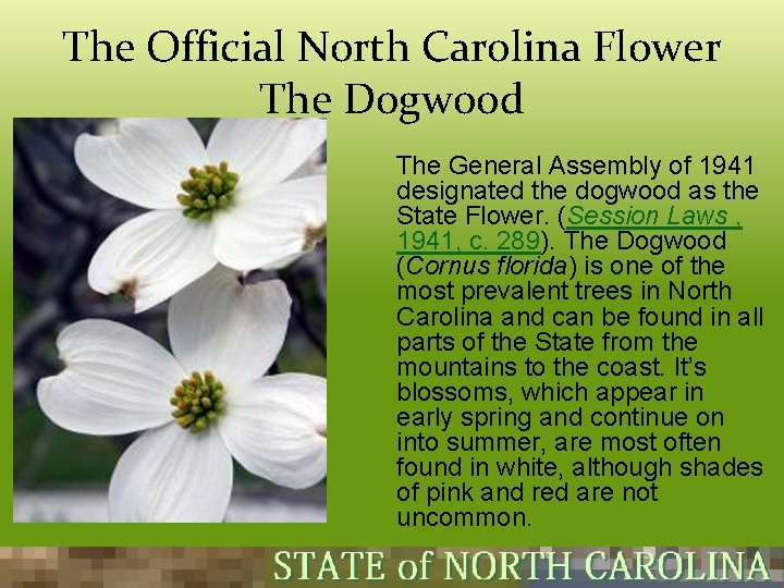 The Official North Carolina Flower The Dogwood The General Assembly of 1941 designated the