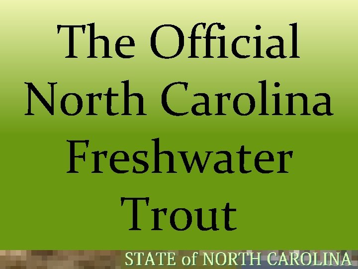 The Official North Carolina Freshwater Trout  The Official North Carolina Freshwater Trout