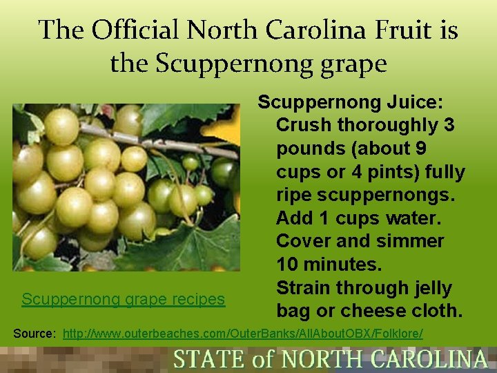 The Official North Carolina Fruit is the Scuppernong grape recipes Scuppernong Juice: Crush thoroughly The Official North Carolina Fruit is the Scuppernong grape recipes Scuppernong Juice: Crush thoroughly