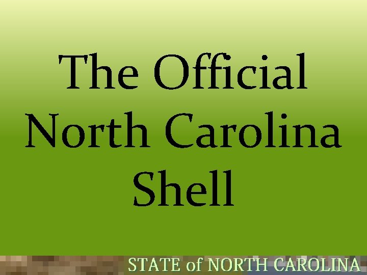 The Official North Carolina Shell  The Official North Carolina Shell