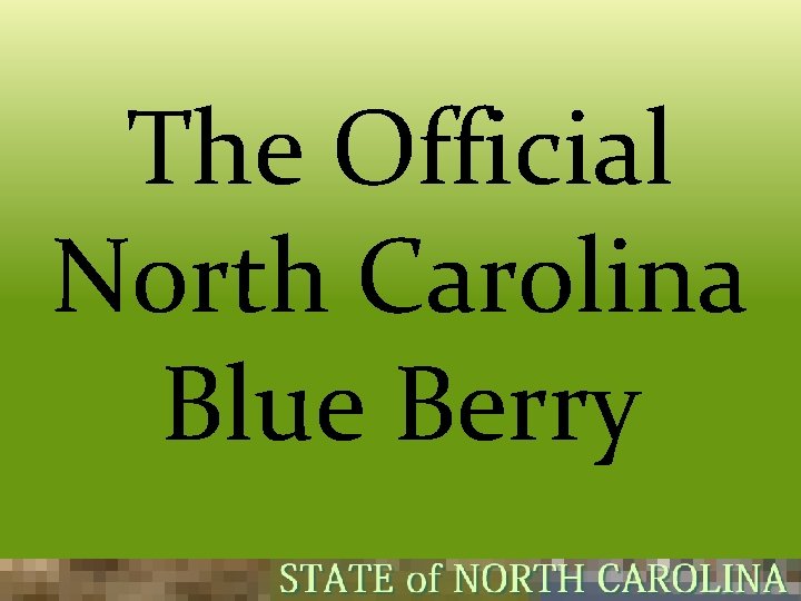 The Official North Carolina Blue Berry 