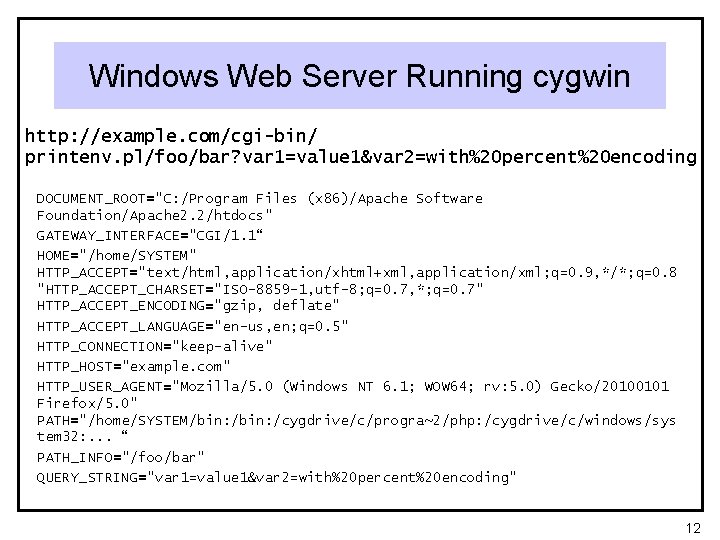 Windows Web Server Running cygwin http: //example. com/cgi-bin/ printenv. pl/foo/bar? var 1=value 1&var 2=with%20