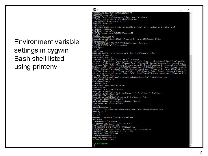 Environment variable settings in cygwin Bash shell listed using printenv 4 