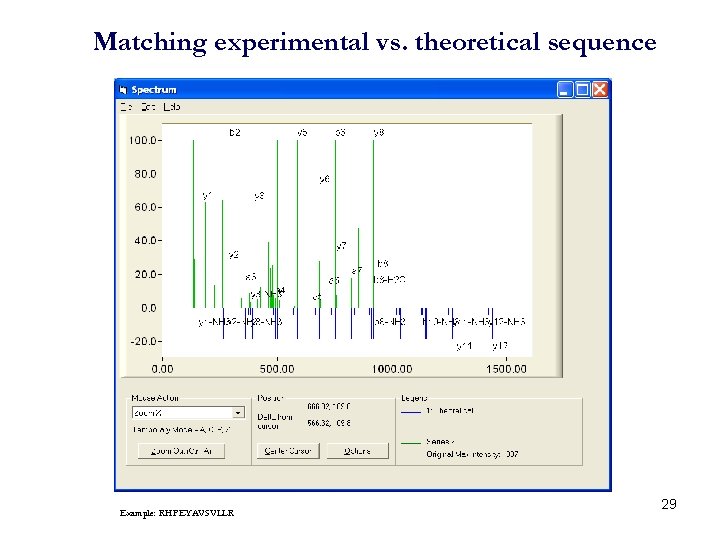 Matching experimental vs. theoretical sequence Example: RHPEYAVSVLLR 29 