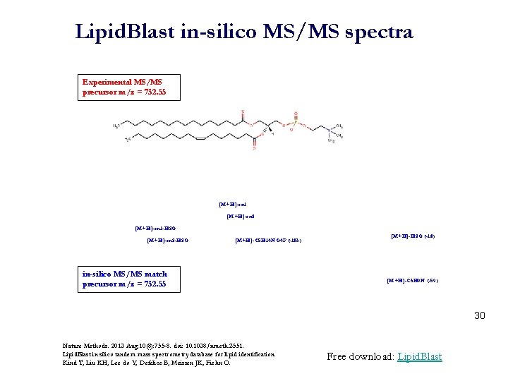 Lipid. Blast in-silico MS/MS spectra Experimental MS/MS precursor m/z = 732. 55 [M+H]-sn 1