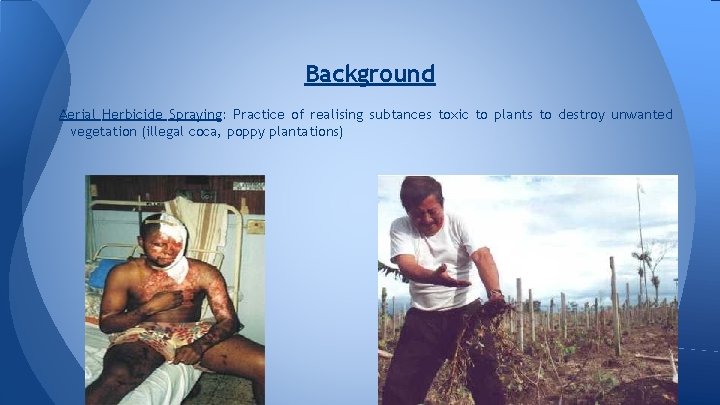 Background Aerial Herbicide Spraying: Practice of realising subtances toxic to plants to destroy unwanted