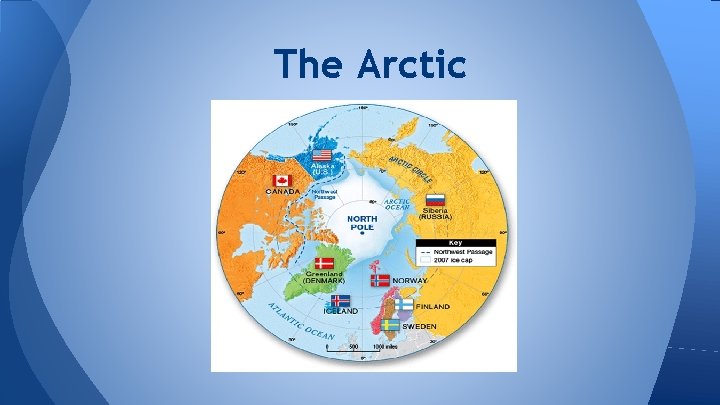 The Arctic 