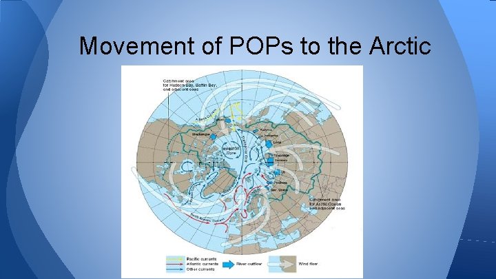 Movement of POPs to the Arctic 