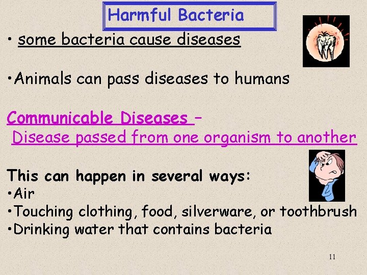 Harmful Bacteria • some bacteria cause diseases • Animals can pass diseases to humans
