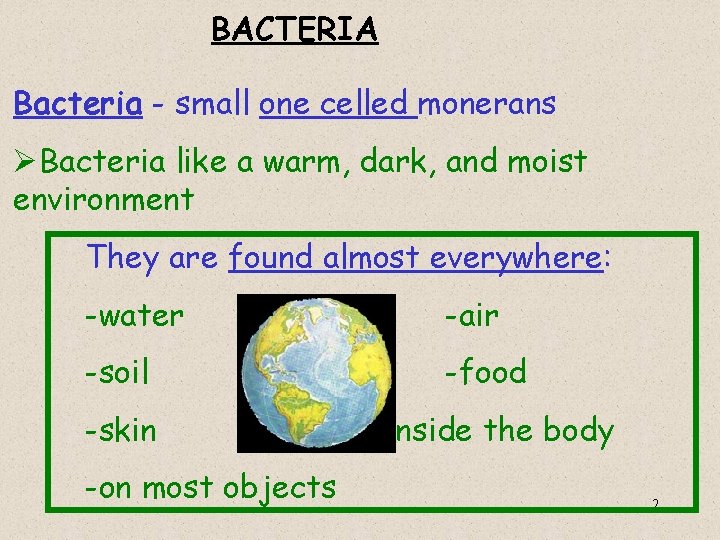 BACTERIA Bacteria - small one celled monerans ØBacteria like a warm, dark, and moist