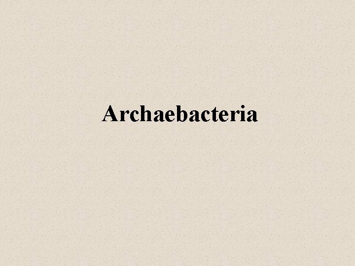 Archaebacteria 