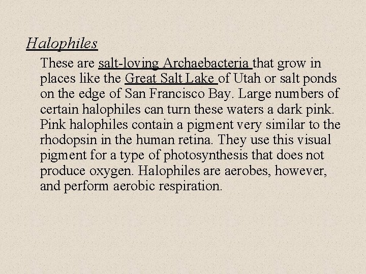 Halophiles These are salt-loving Archaebacteria that grow in places like the Great Salt Lake