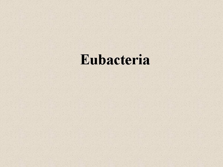 Eubacteria 