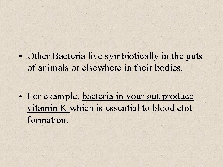  • Other Bacteria live symbiotically in the guts of animals or elsewhere in